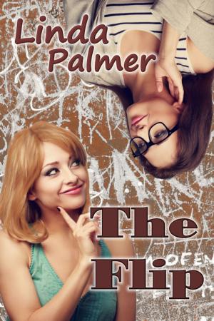Cover of the book The Flip by Jill Jaynes