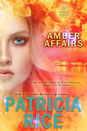 Cover of the book Amber Affairs by Brooklyn James