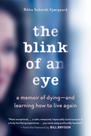 Cover of the book The Blink of an Eye by New Scientist