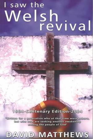 Cover of the book I Saw the Welsh Revival by Art Adkins