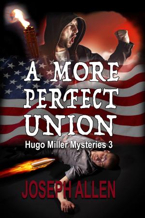 Cover of the book A More Perfect Union by Genie Gabriel