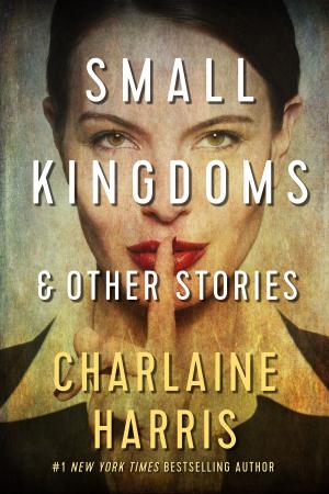 Cover of the book Small Kingdoms and Other Stories by Margaret A. Westlie