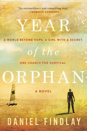 Book cover of Year of the Orphan
