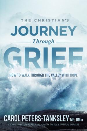 Cover of the book The Christian's Journey Through Grief by Steven Halbert