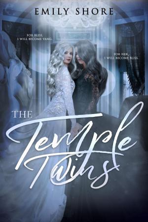 Cover of the book The Temple Twins by Jennifer Derrick