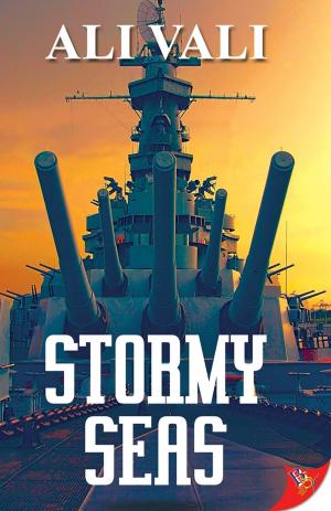 Cover of the book Stormy Seas by E. L. Phillips