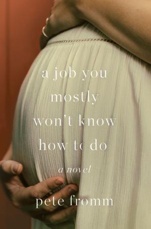 Cover of the book A Job You Mostly Won't Know How to Do by Stuart Kells