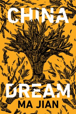 Book cover of China Dream