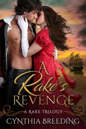 Cover of the book A Rake's Revenge by Meg Hennessy