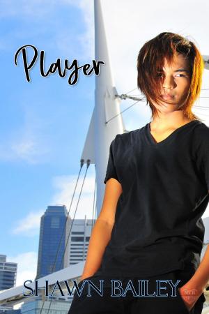 Cover of the book Player by Shawn Bailey