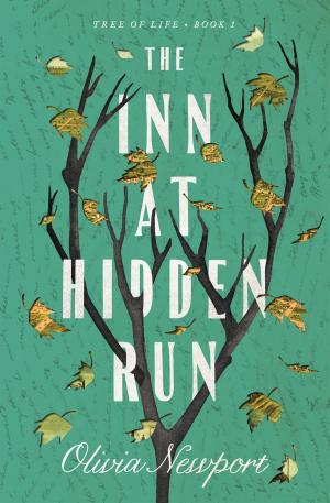 bigCover of the book The Inn at Hidden Run by 