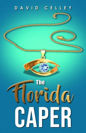 Cover of the book The Florida Caper by Anita Venturi