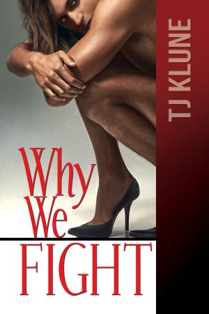 Cover of the book Why We Fight by Anne Barwell