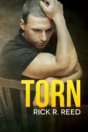 Cover of the book Torn by SJD Peterson