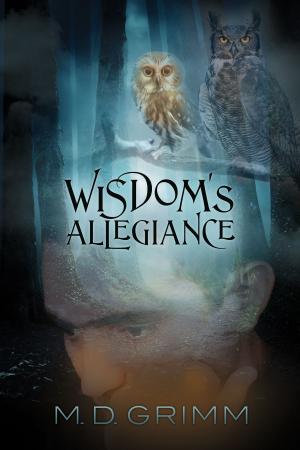 Cover of the book Wisdom's Allegiance by Jill James