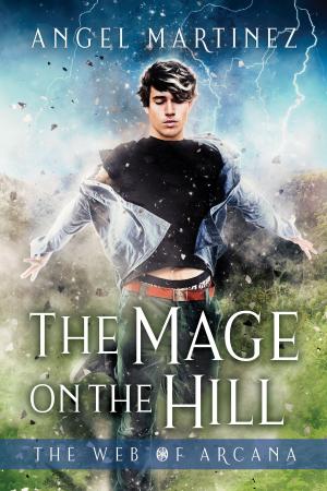 Cover of the book The Mage on the Hill by D.J. Manly, A.J. Llewellyn