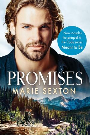 Cover of the book Promises by Julia Talbot
