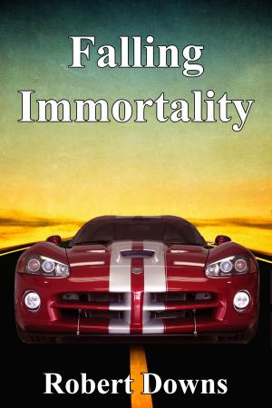 Cover of the book Falling Immortality by Leslie Hachtel