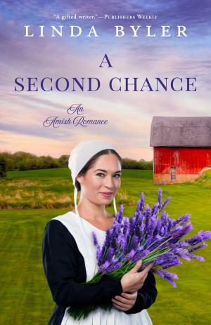 Cover of the book A Second Chance by Stephen Scott