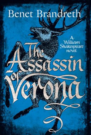 bigCover of the book The Assassin of Verona: A William Shakespeare Novel (William Shakespeare Mysteries) by 