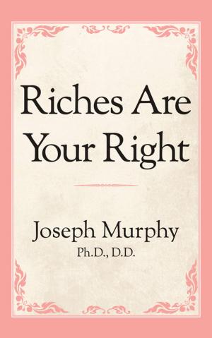 Cover of the book Riches Are Your Right by Michael Santonato