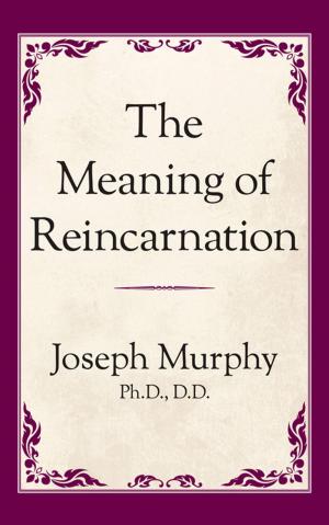 Book cover of The Meaning of Reincarnation