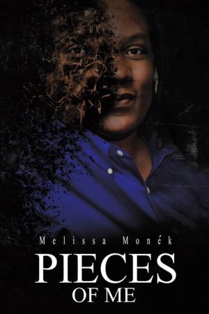 Cover of the book Pieces of Me by D. C. Donahue