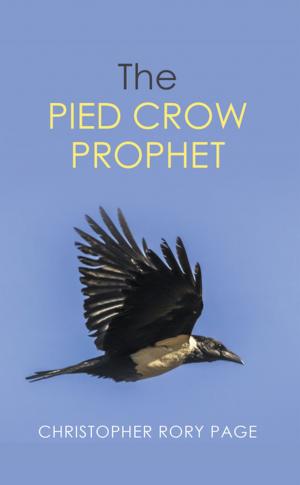 Cover of the book The Pied Crow Prophet by Sandra Burdett