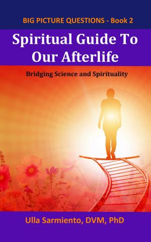 Book cover of Spiritual Guide To Our Afterlife