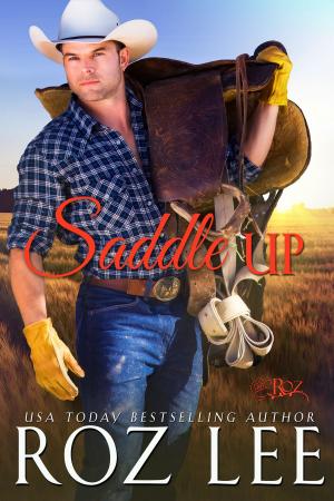 Cover of the book Saddle Up by Maggie Carpenter