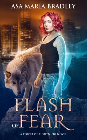 Cover of the book Flash of Fear by Suzannah Daniels