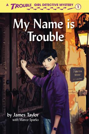 Book cover of My Name is Trouble