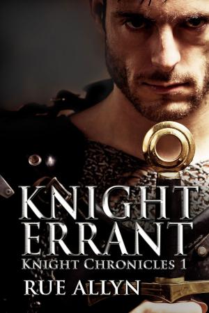 Cover of the book Knight Errant by Laura McVey
