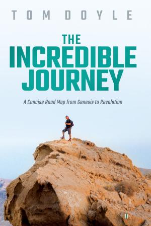 Cover of the book The Incredible Journey by Gerardo Jurado Ciro