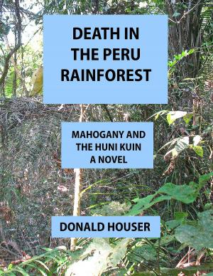 Cover of the book Death In The Peru Rainforest by Astrid Seehaus