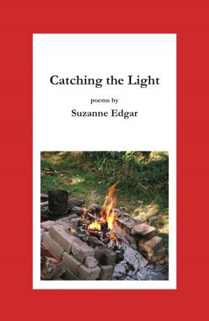 Cover of the book Catching the Light by Robin Sinclair