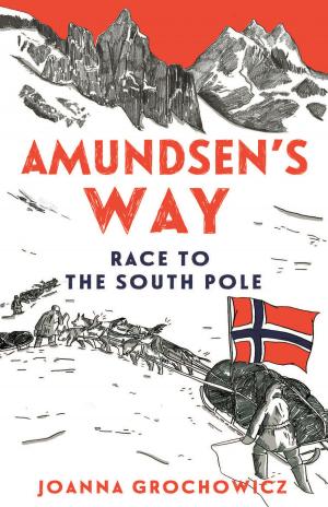 Cover of the book Amundsen's Way by Chris McKimmie