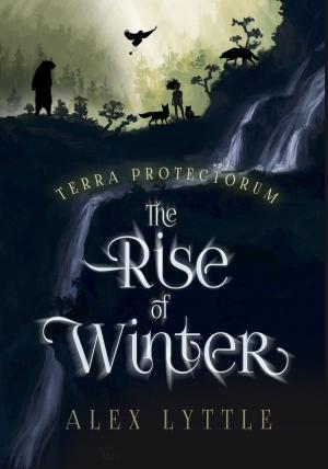 Cover of the book The Rise of Winter by LM DeWalt