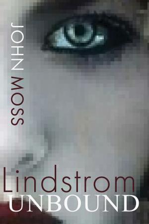 Cover of the book Lindstrom Unbound by Andy Nicol