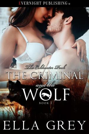 Cover of the book The Criminal and the Wolf by Lynn Burke