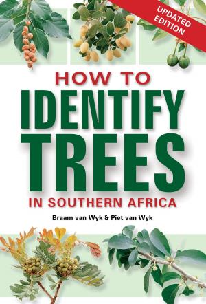 Cover of the book How to Identify Trees in Southern Africa by Kerryn Ponter