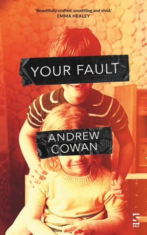 Cover of Your Fault by Andrew Cowan, Salt Publishing Limited