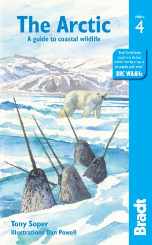 Cover of the book Arctic: A guide to coastal wildlife by Gemma Hall
