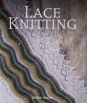 Cover of the book Lace Knitting by Shaun Rawcliffe