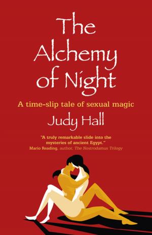 Book cover of The Alchemy of Night