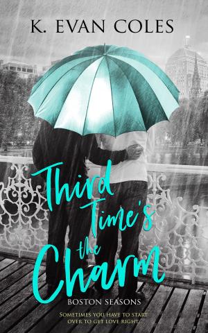 Cover of the book Third Time's the Charm by Cheyenne  Meadows