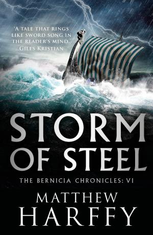 Cover of the book Storm of Steel by Stephen Edger