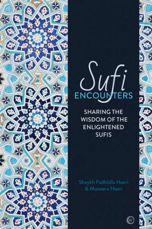 Cover of the book Sufi Encounters by Derek Parker, Julia Parker