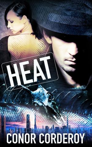 Cover of the book Heat: A Box Set by Noelle Keaton