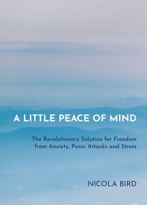 Book cover of A Little Peace of Mind